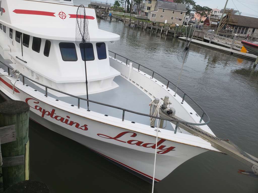 3 Important FAQs On Fishing Charters - Captain's Lady Charter